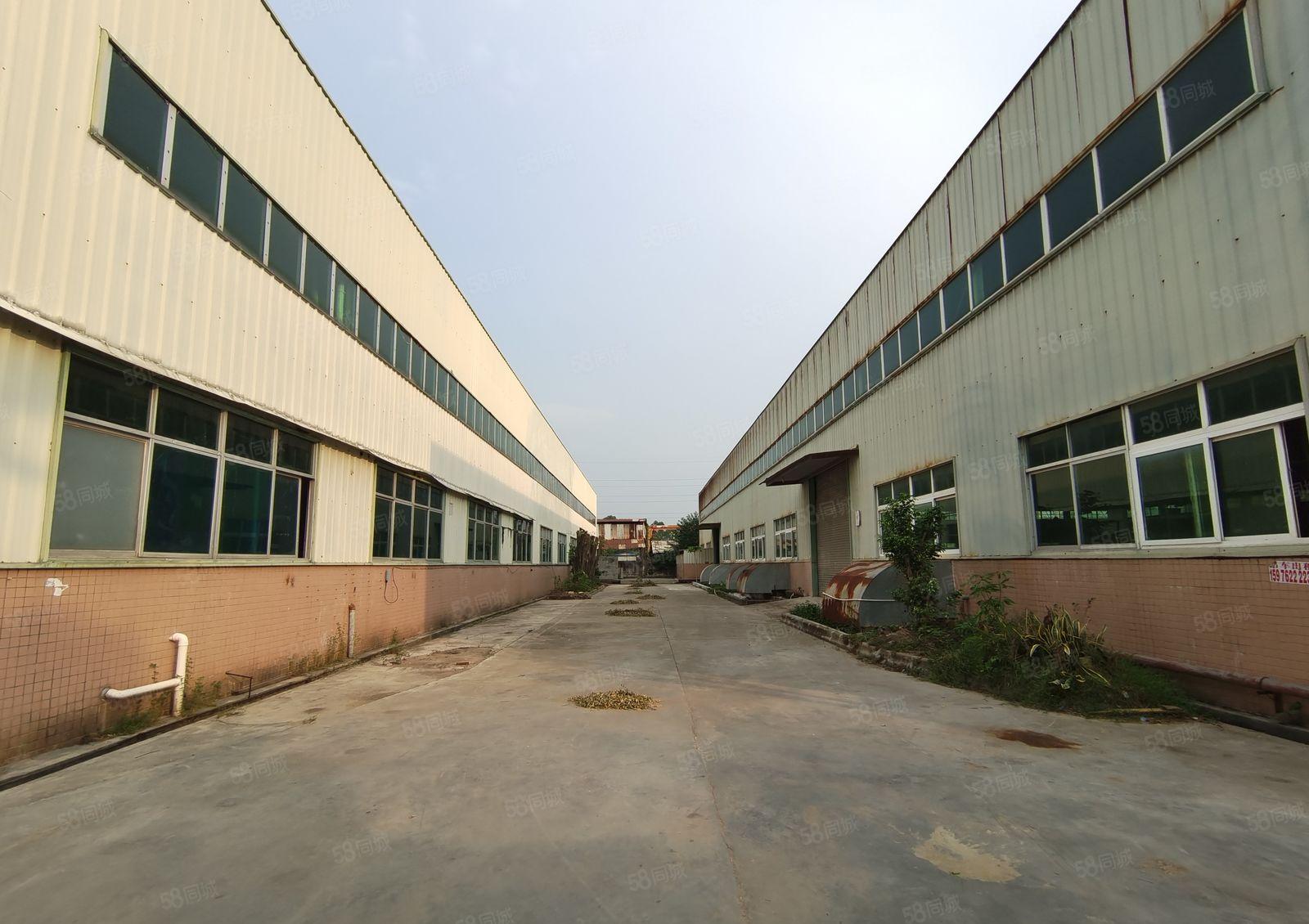 水口东江工业区滴水8米钢构出租7000平方可分租装行吊无居民