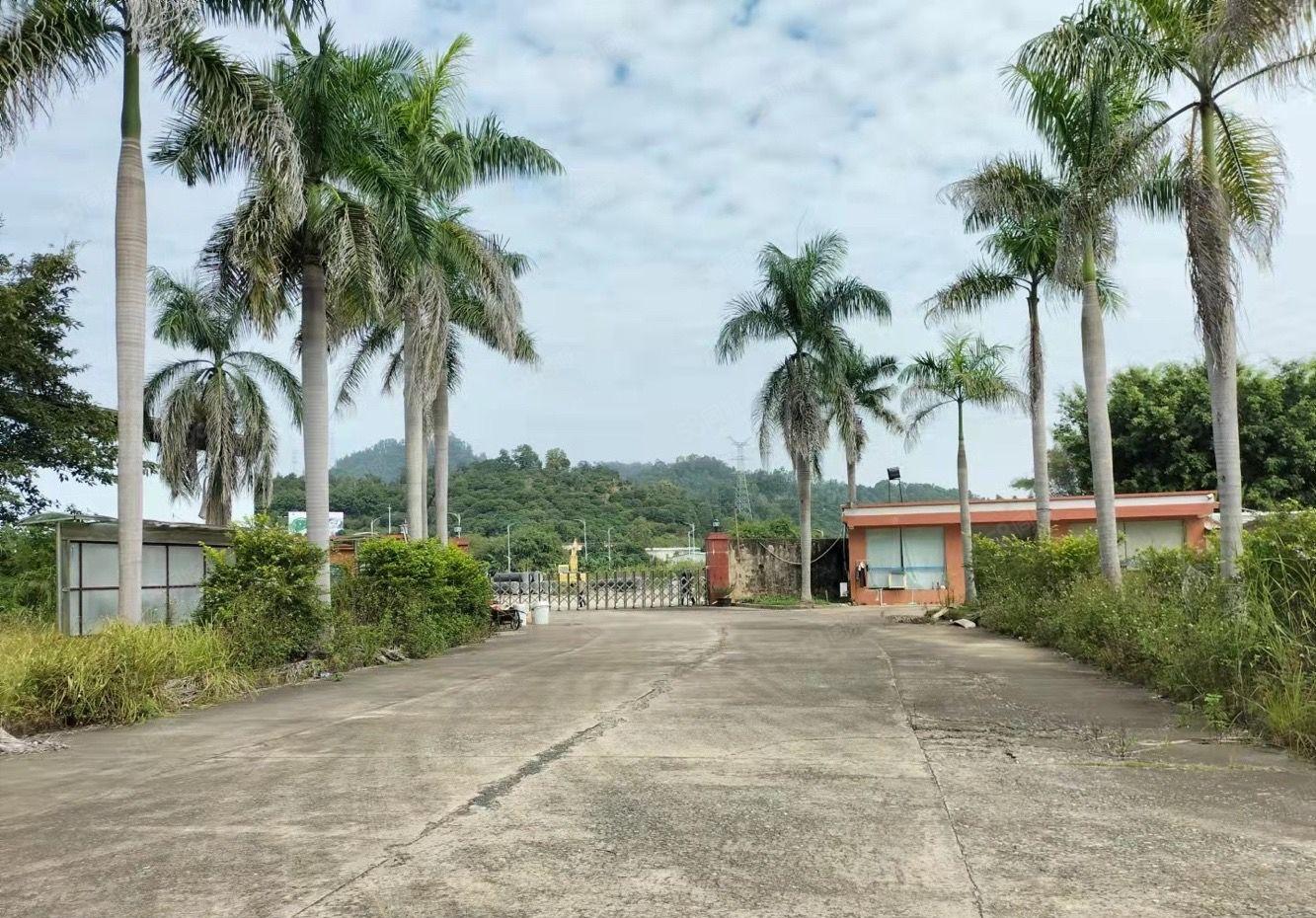 河南岸原房东3万平方超大空地钢结构厂房出租（厂房7000）