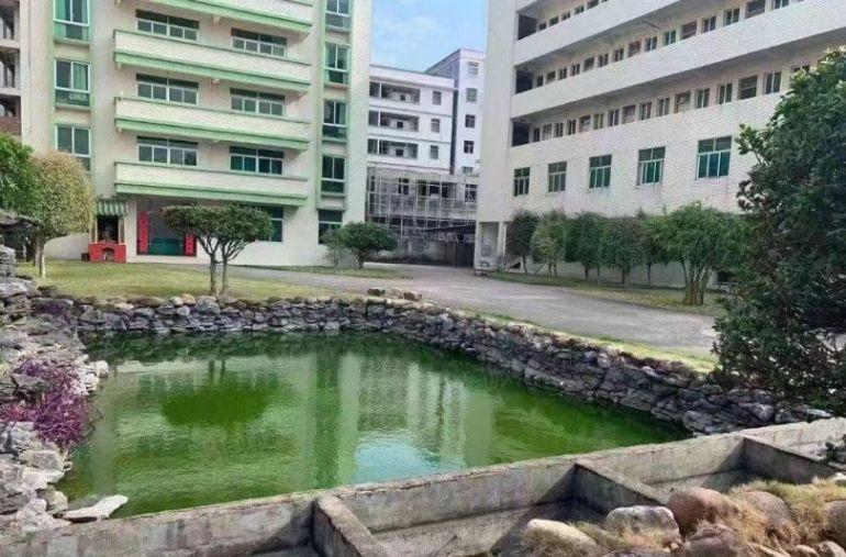 招财.水池独门独院厂房出租惠城水口大道