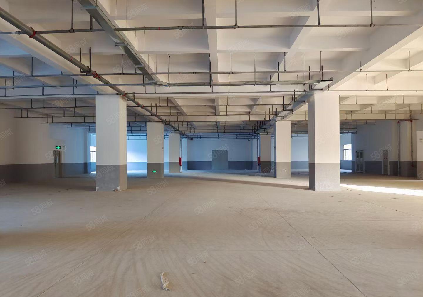 水口产业园新空出一楼1100平方2700平方标准厂房出租