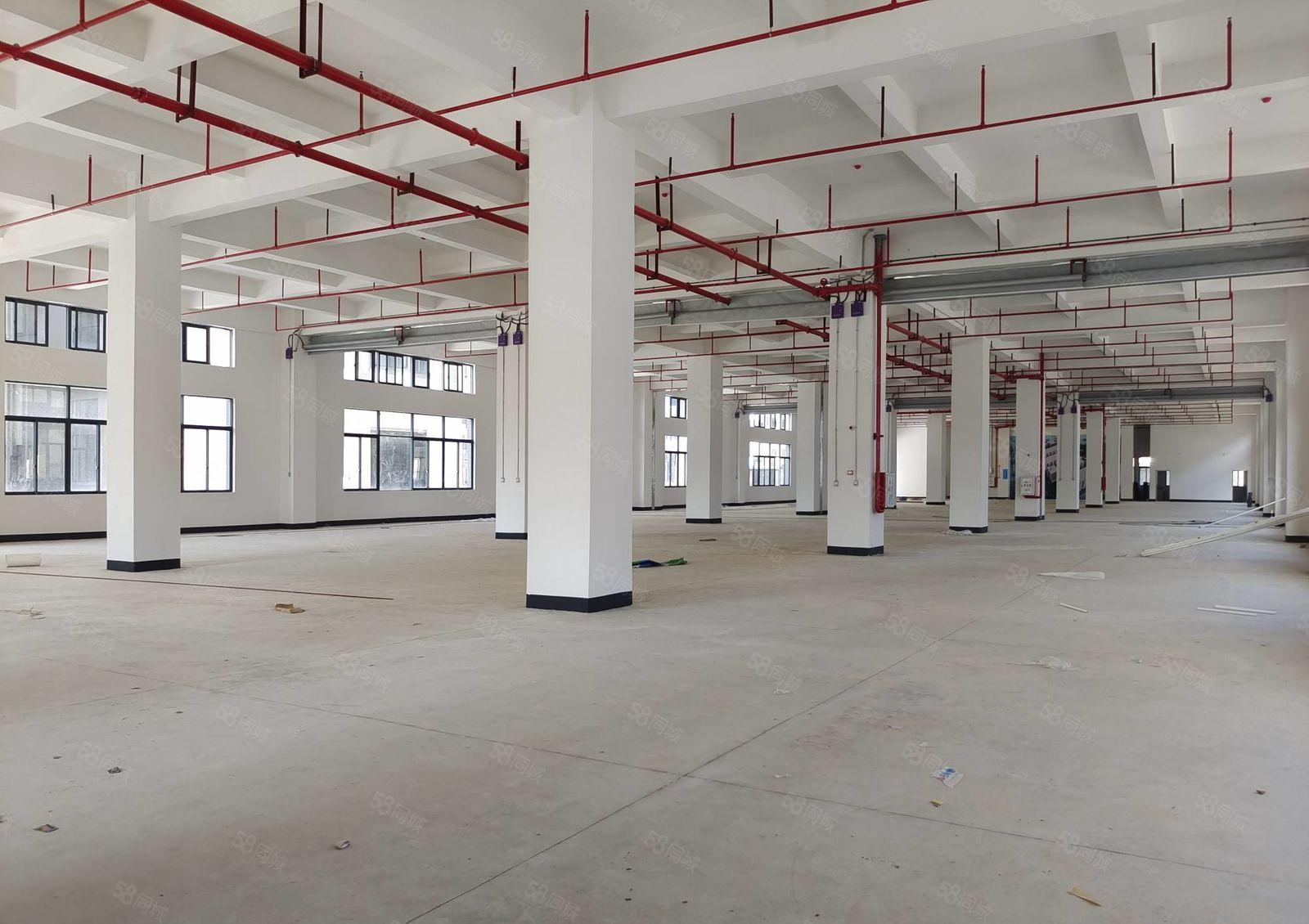 9.9元一平方，数码园北区新建厂房一层1550元厂房出租