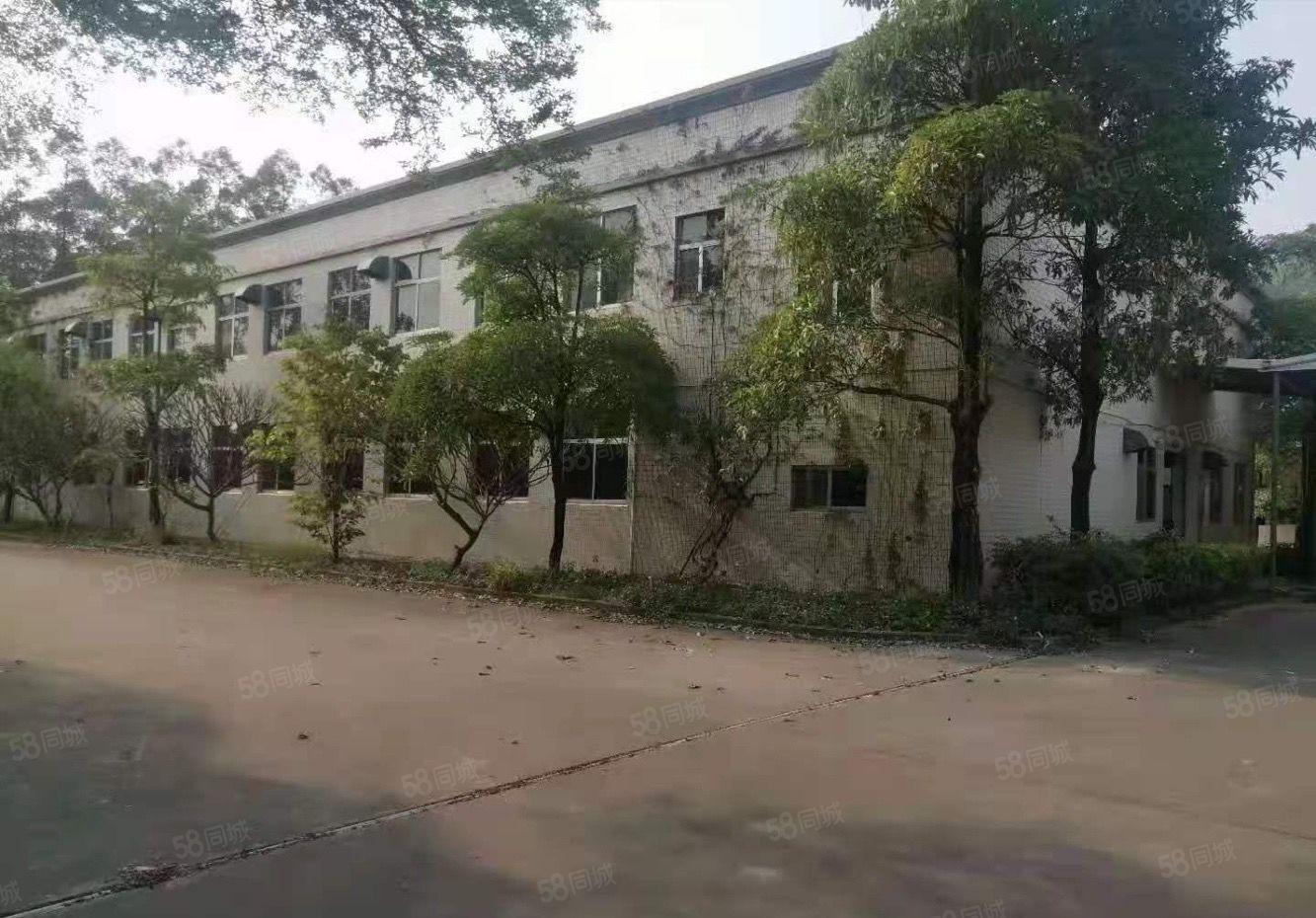 惠城区罗阳高速路口新独院厂房15000平方招租