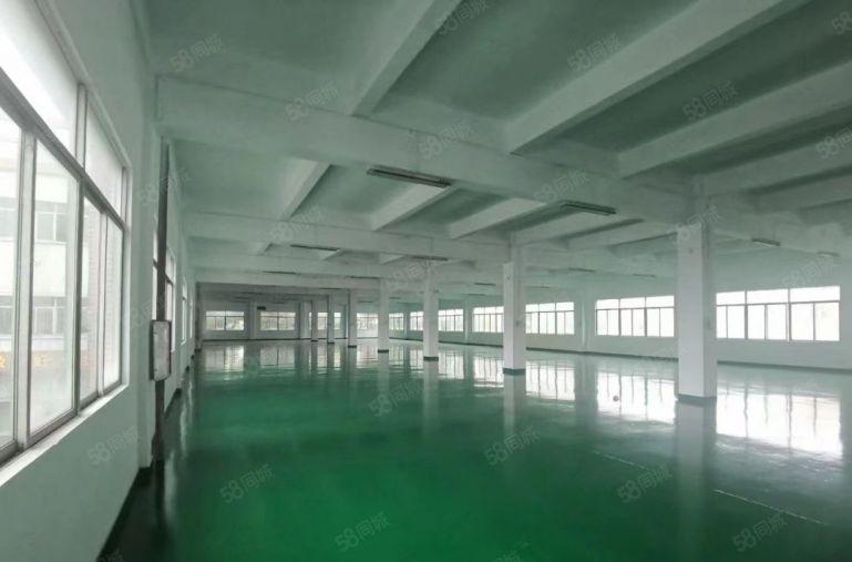 独门独院！9元平！周边无居民！惠城水口原房东独院6000平