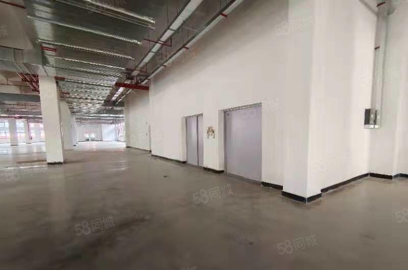 马安平潭怡发二路全新厂房3500平米 证件齐全 租金10元