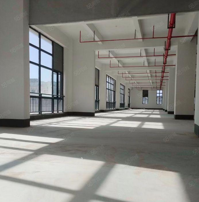 马安一楼标准厂房，2030平米，高7.2米