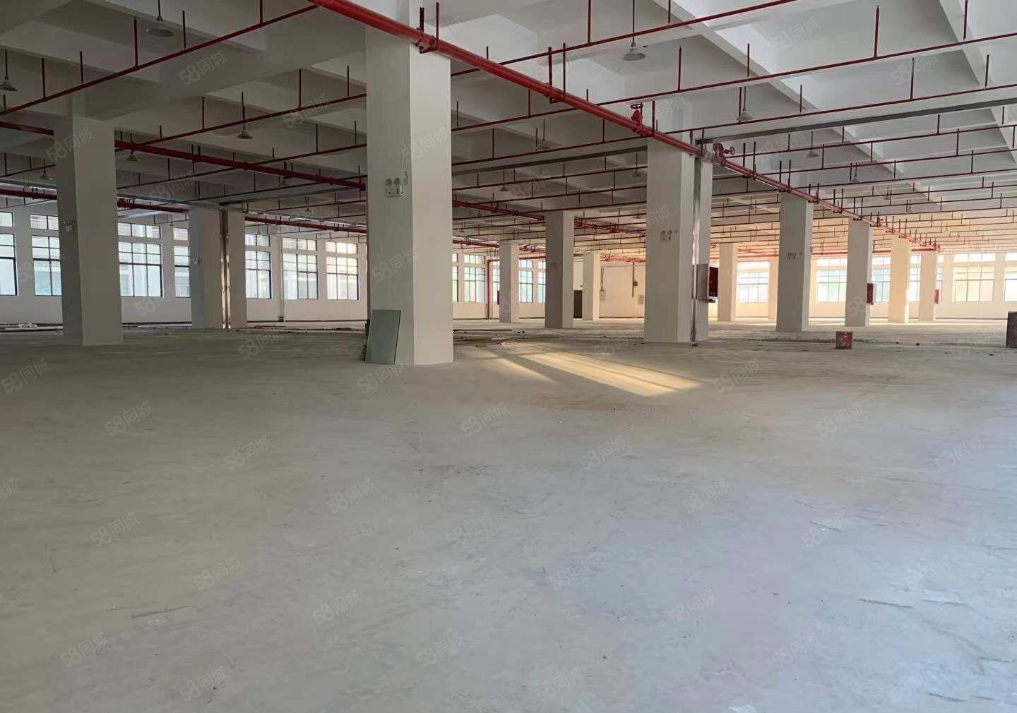 超靓新盘，原房东厂房