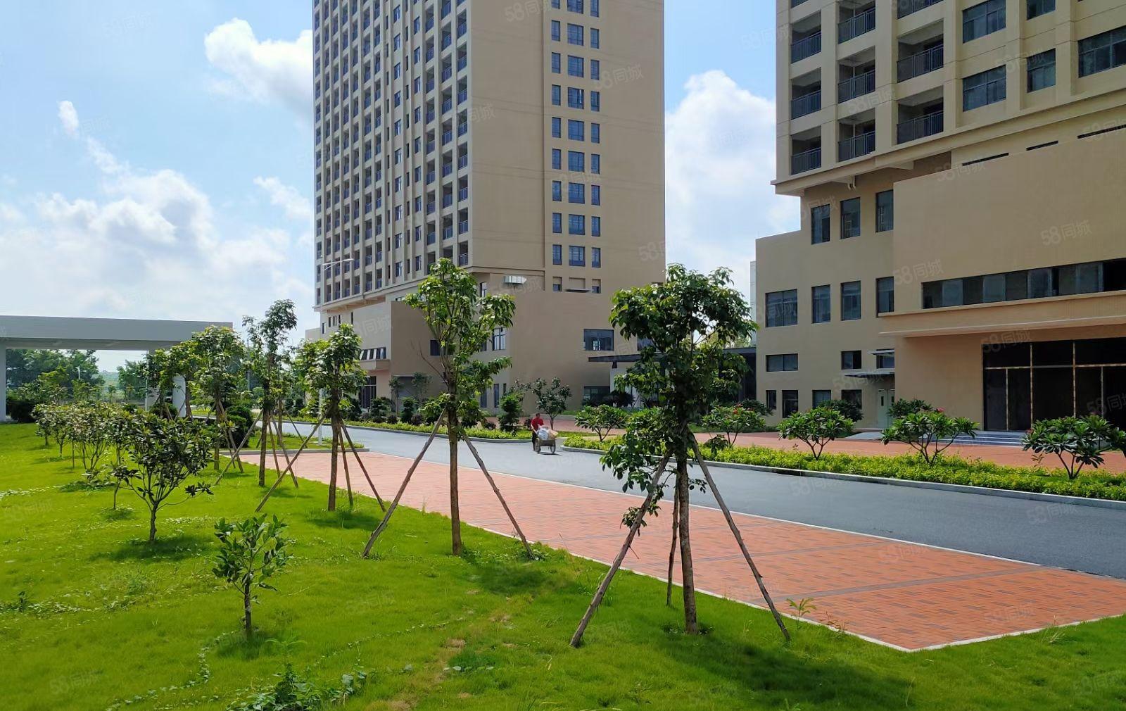 靓惠州水口38万平方花园式红本厂房