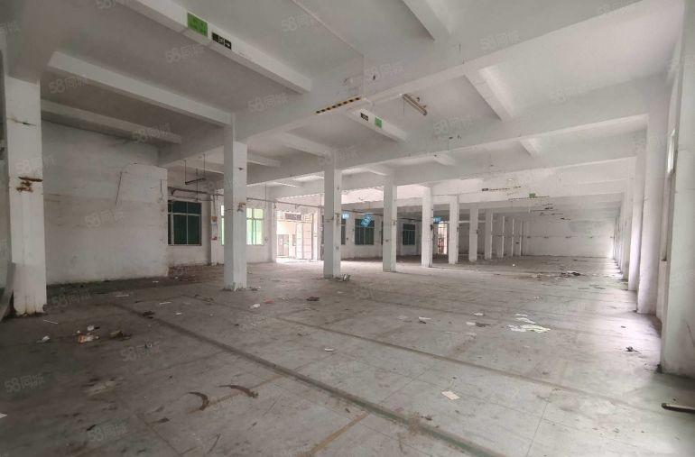 急租马安新乐一楼1200平，可分租500平，层高5米，电按需