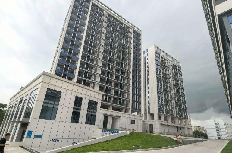 三栋数码园单层大面积标准厂房，大小可分租