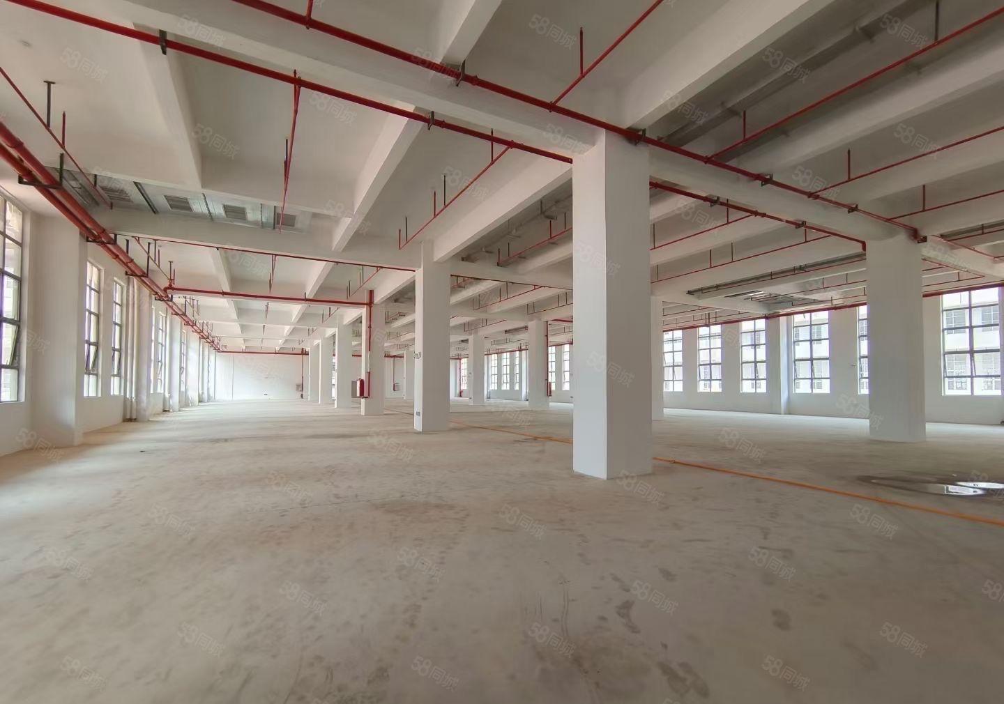 马安全新一二层红本标准厂房招租，1楼2600平米