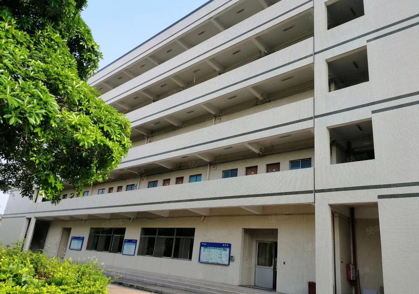 水口东江工业区850平米标准工业园厂房出租