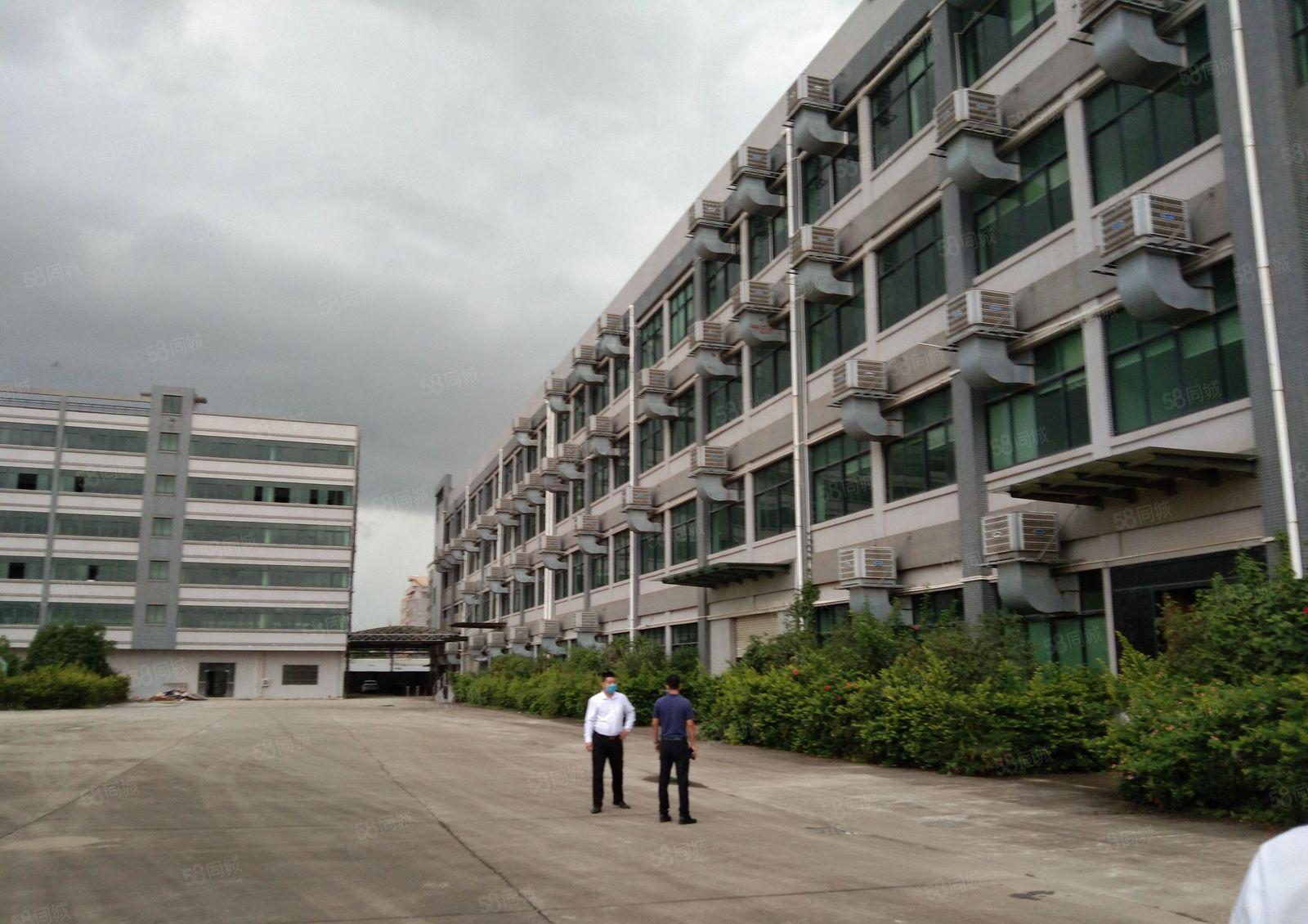 水口原房东电梯厂房6000平方出租，面积无公摊仅租13元