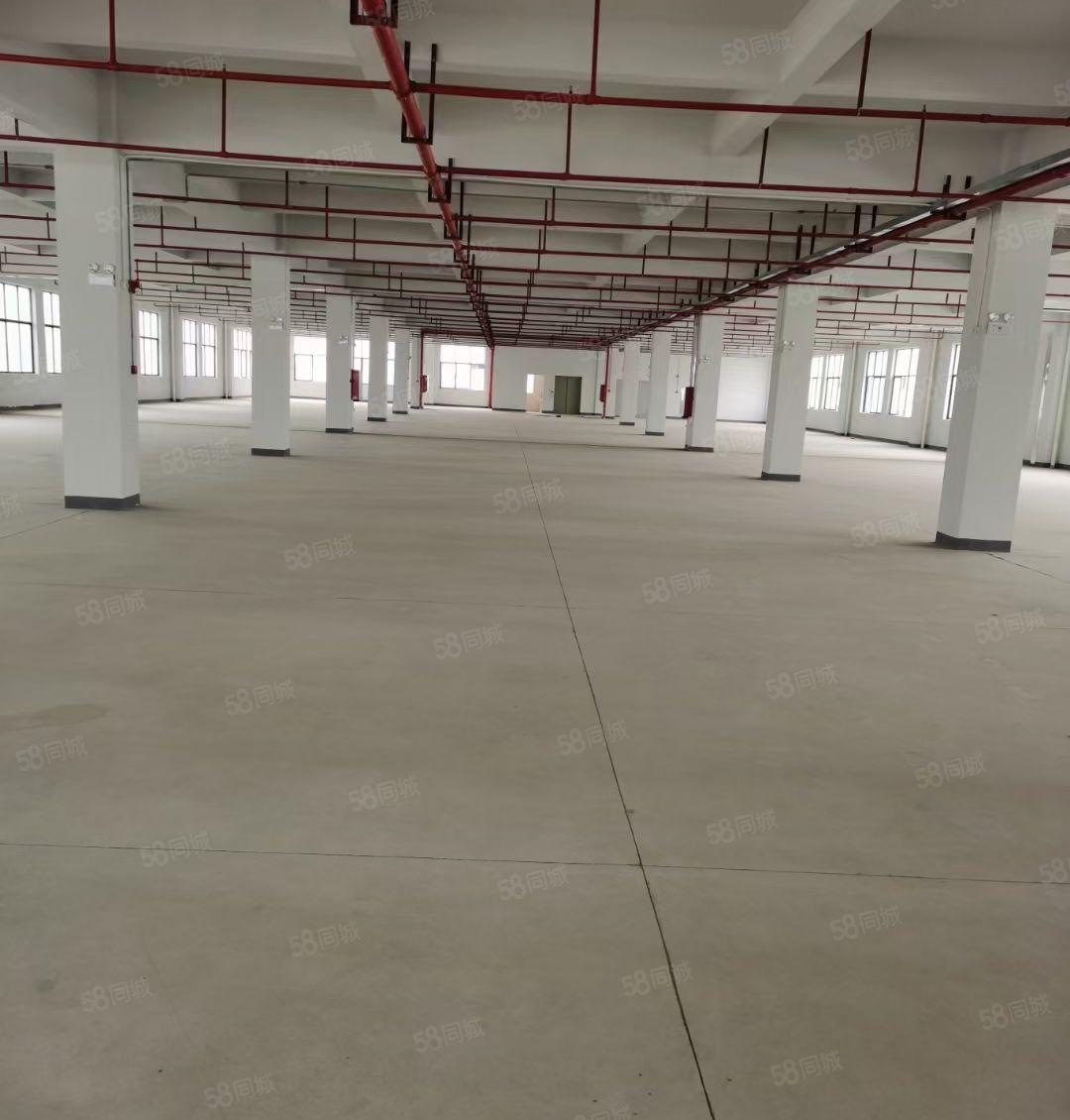 水口红本工业园区空出2400平 带现成装修 一楼层高5.5米