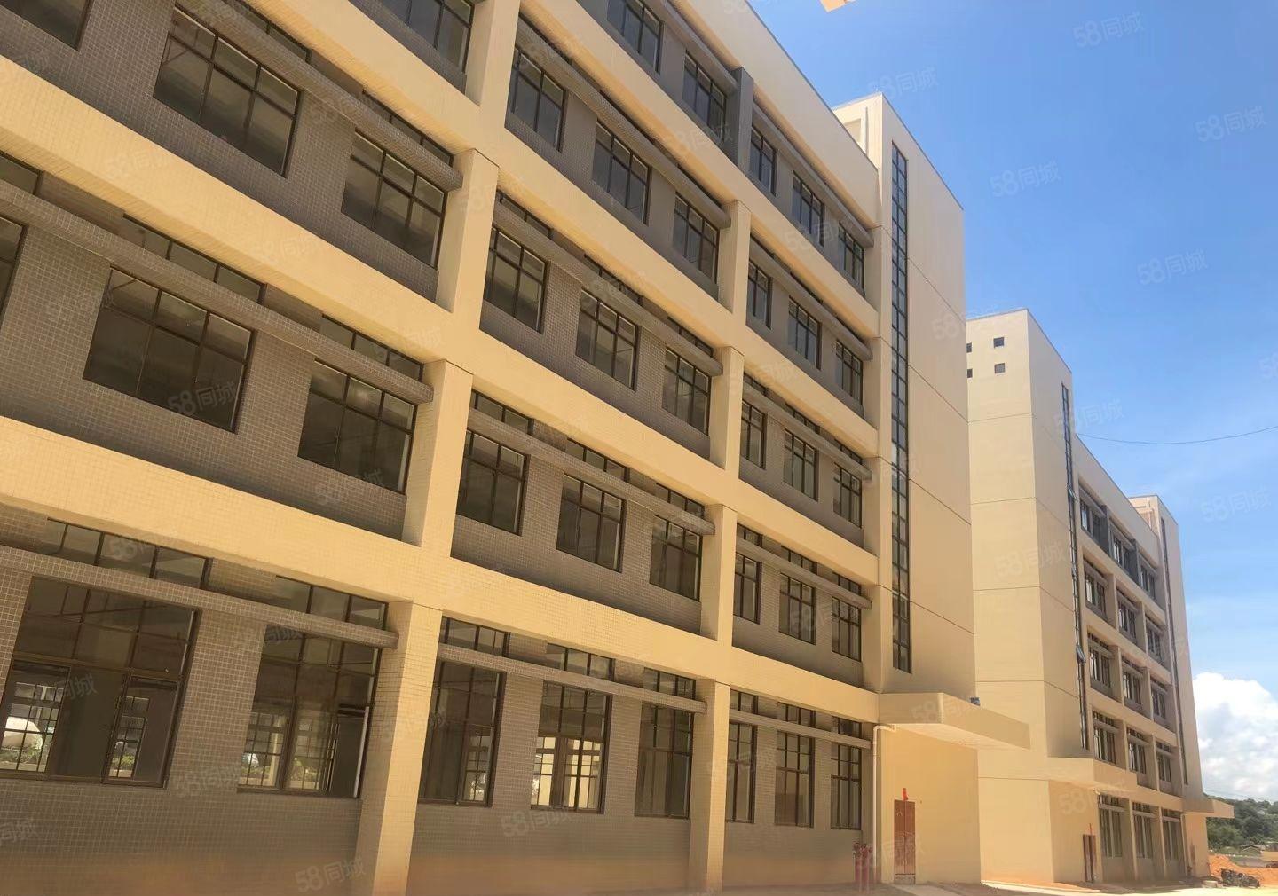 三栋镇全新红本厂房1550平方 租金10元 可分租