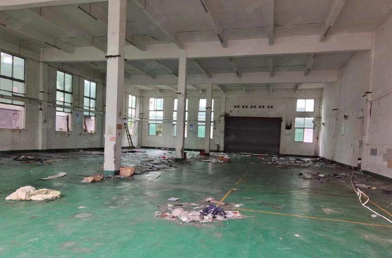 靓马安新出独院厂房4500平米招租