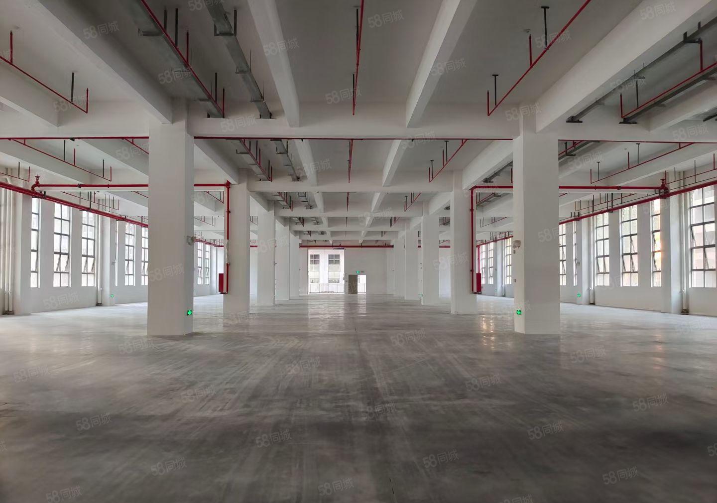 三栋数码南区 花园式一楼1600平标准厂房出租