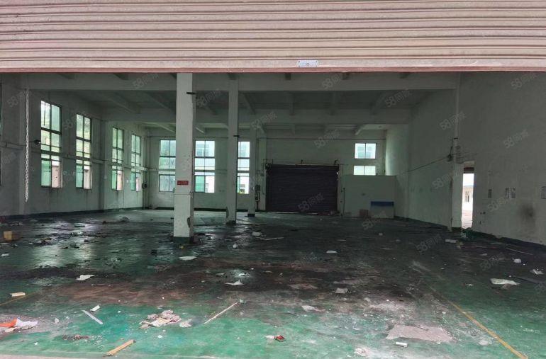 靓马安新出独院厂房4500平米招租