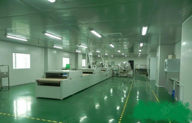 消息小金口附近刚刚腾出无尘车间厂房！！共4700平方