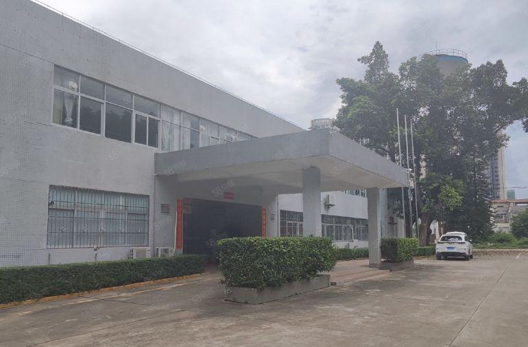 马安新乐1600平方9米高钢构厂房出租，可分租