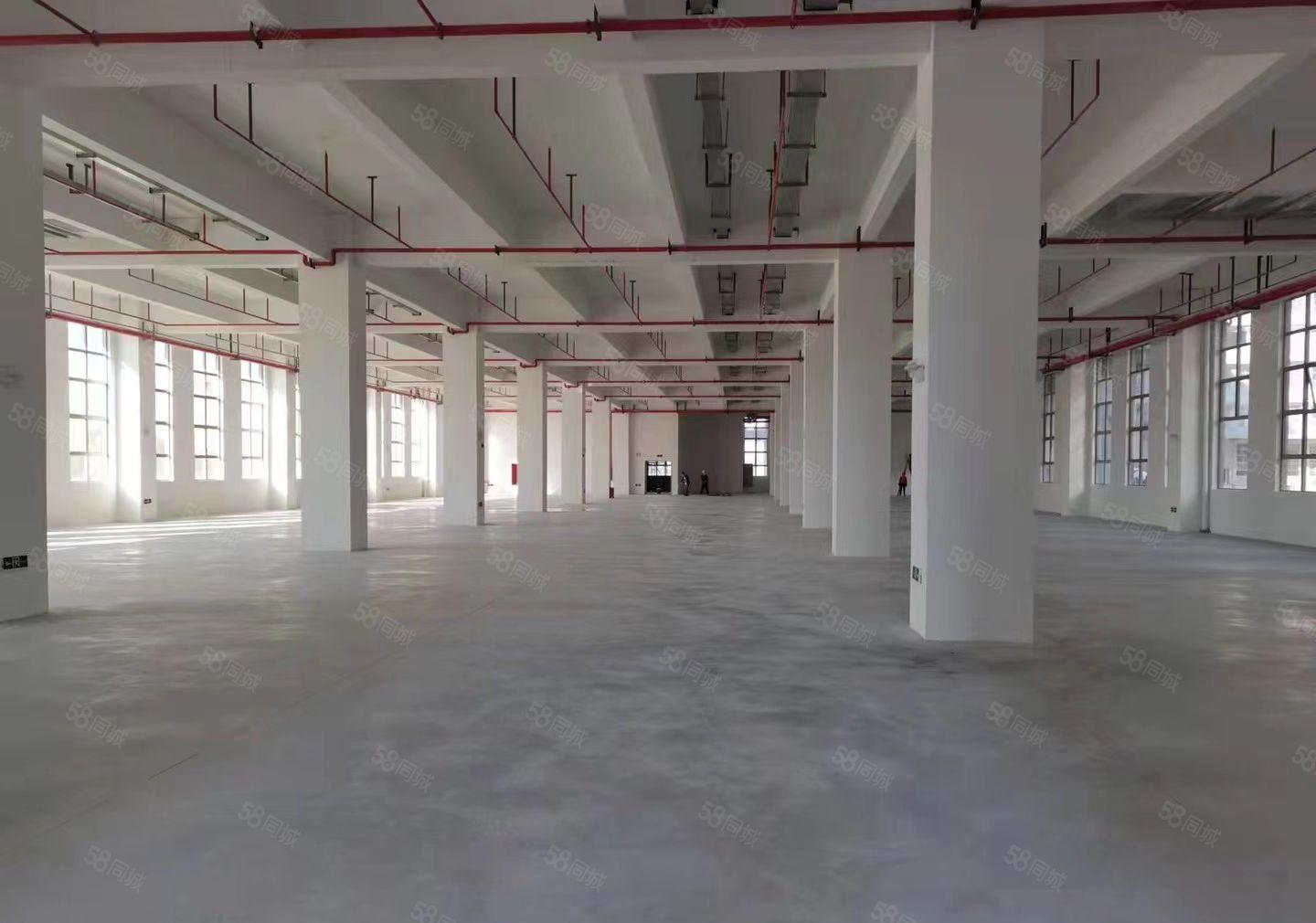 三栋全新工业园区招租28800平方任意分租