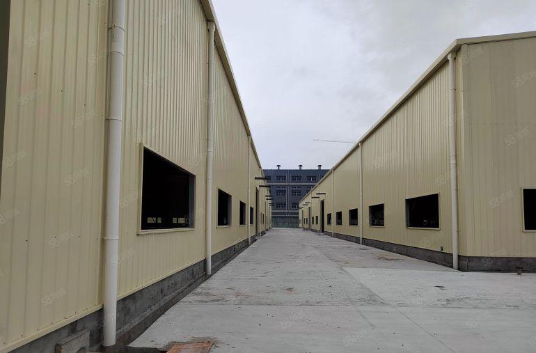 惠城区马安镇   6000平米全新钢结构厂房出租，高度8米~