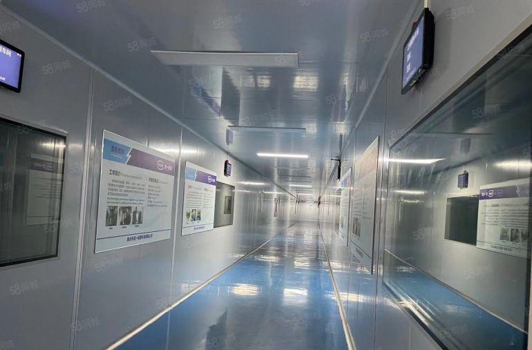 惠城区水口带无尘车间厂房，独门独院，电子医疗实验室，豪华装修