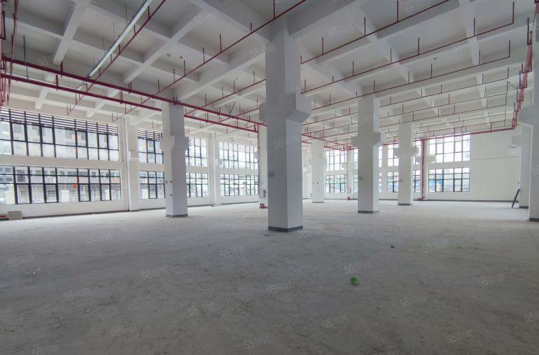 惠城区马安新乐工业区全新独栋标准厂房出租单层面积1300平起