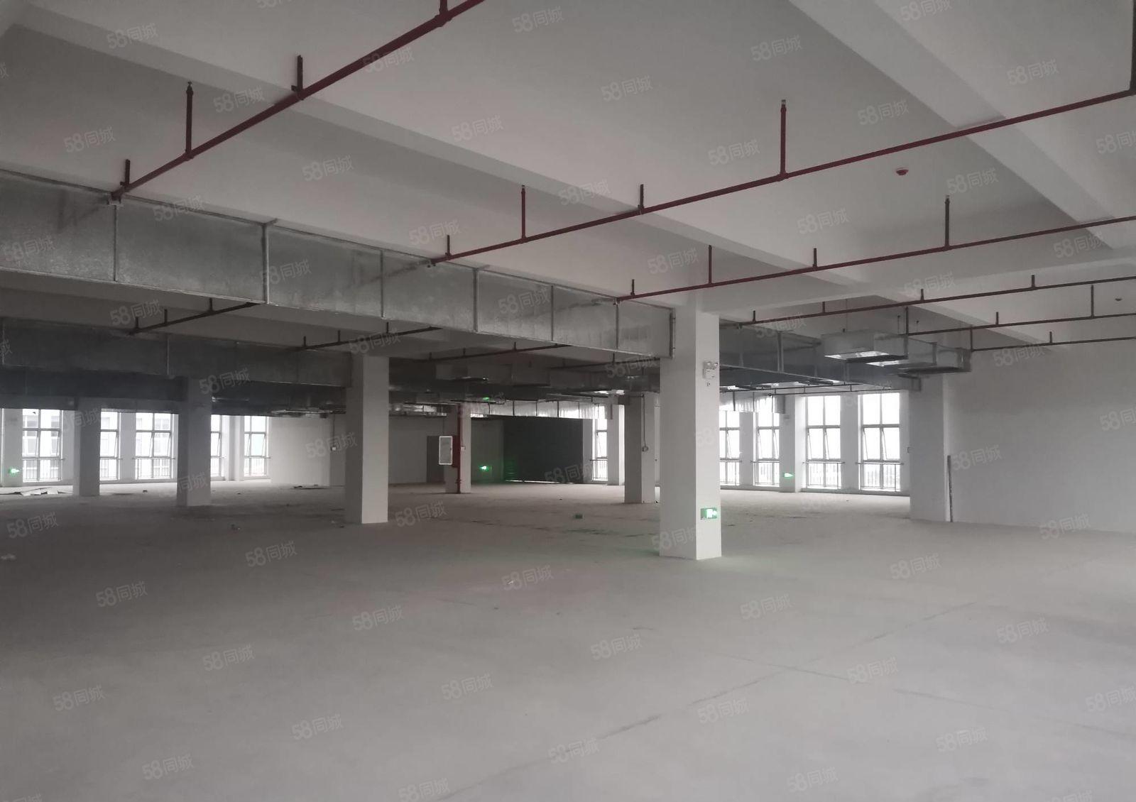 （单层3000平可分租）联想附近原房东含税价格园区出租，降价