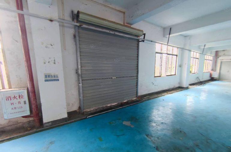 水口中心工业区低价标准厂房五楼620平方出租实际面积原房东