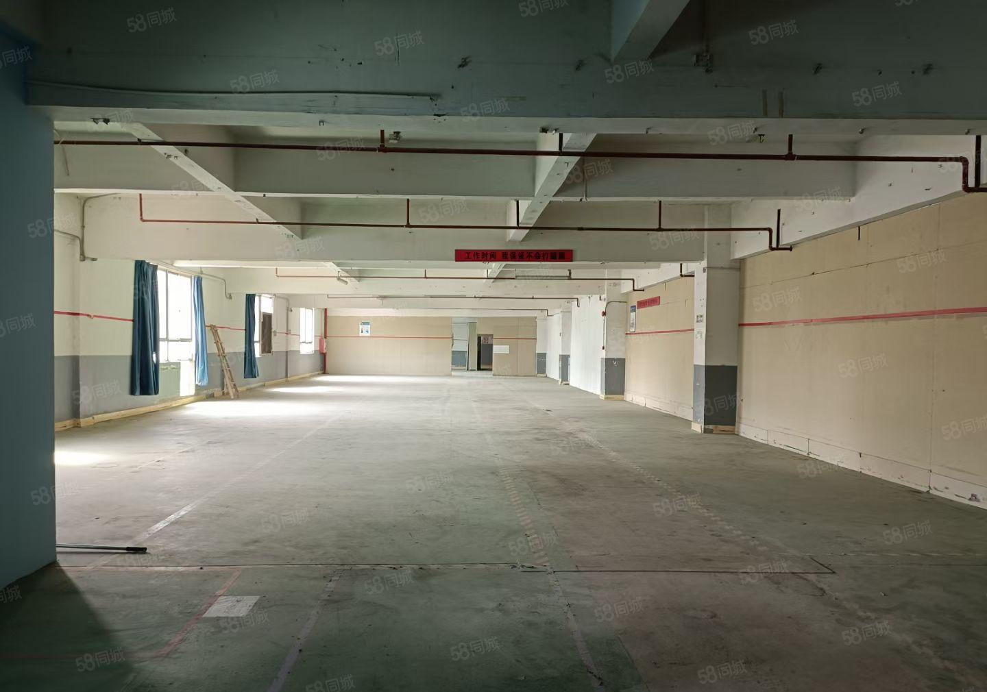 马安6500平米独院厂房招租