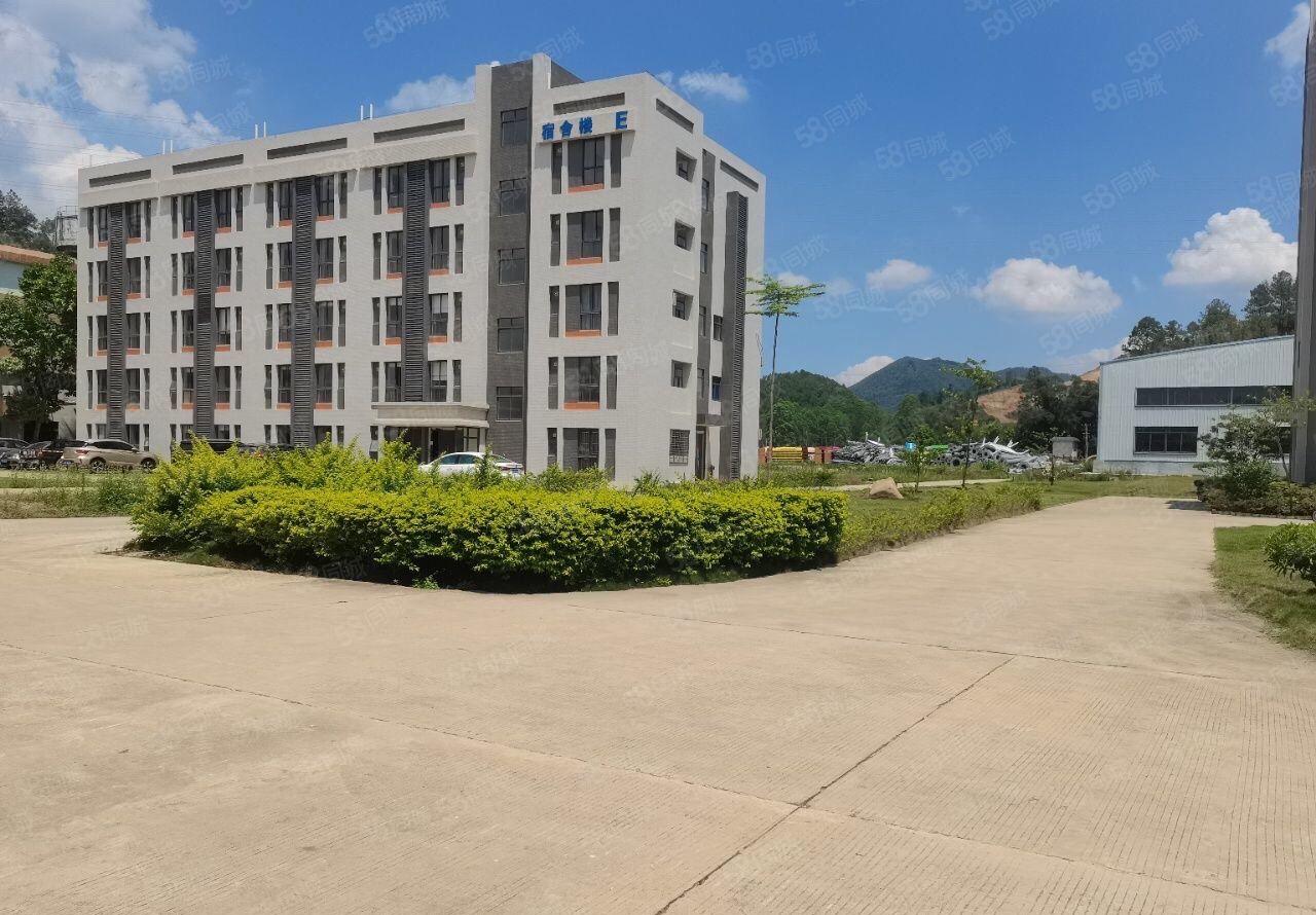惠州新出标准厂房，原房东红本在手