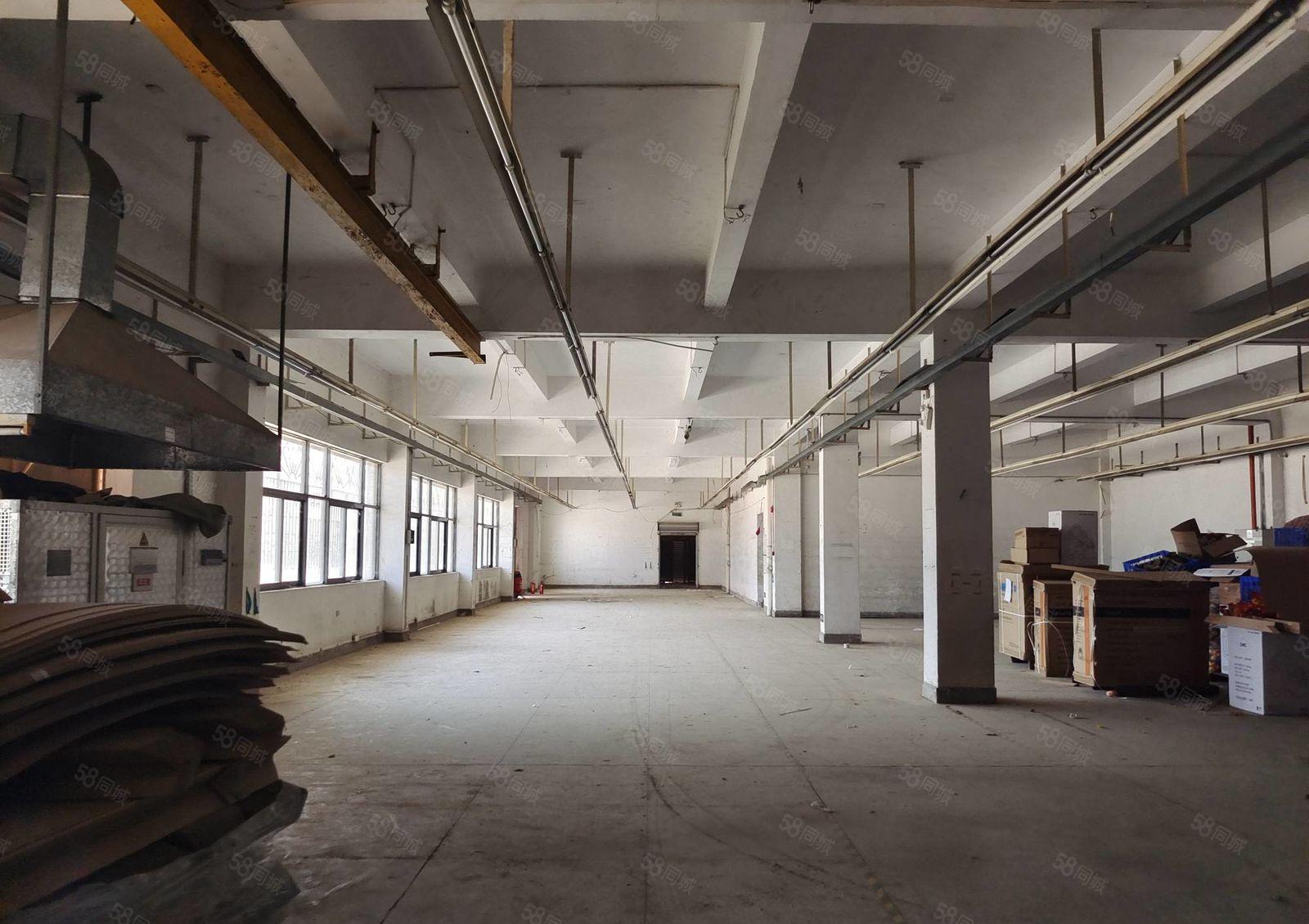 三栋数码园  一楼1000平厂房仓库出租 租金16元