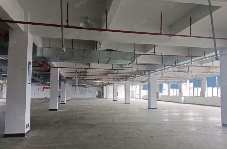 水口全新厂房一楼2400平方招租，租金16元 可分租