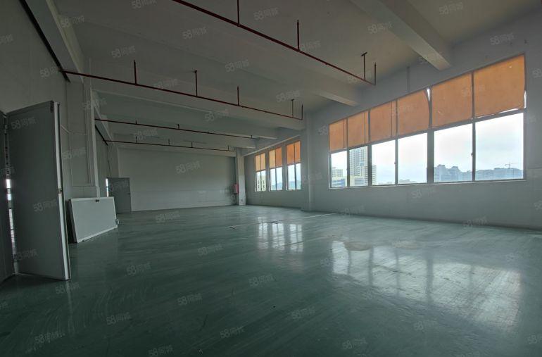 （出租）9块全包带装修单层1200平可分组距离高速口1公里