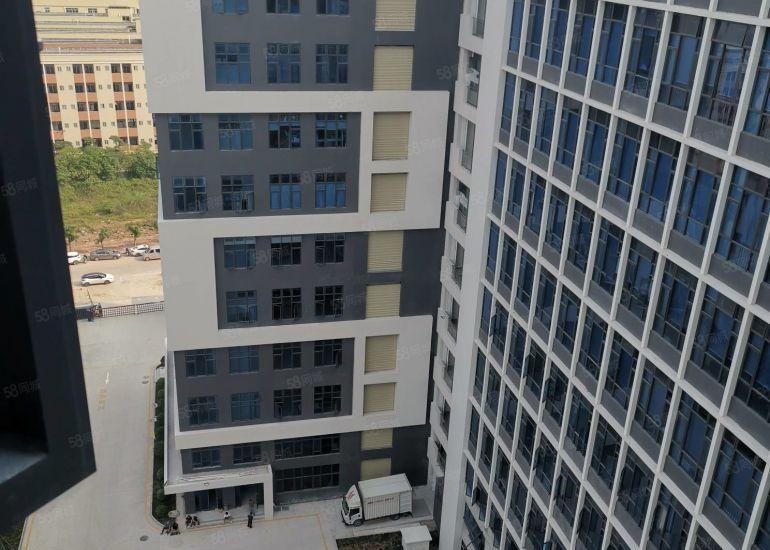 靓水口全新工业园厂房2万平米招租