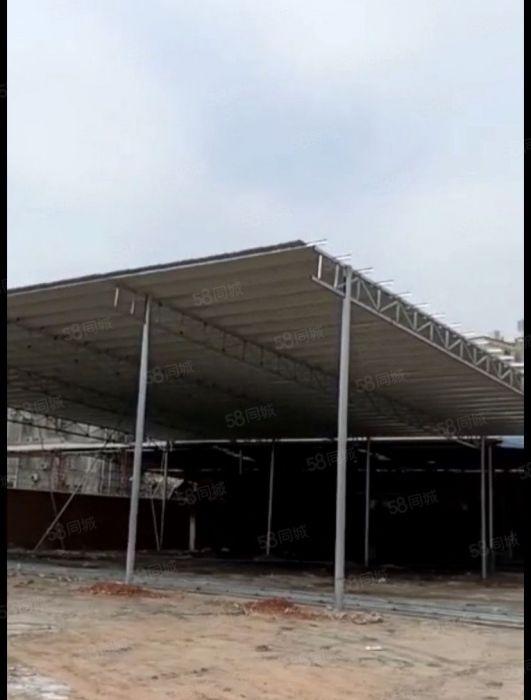 惠城区小金口金石二路全新6米高钢结构出租