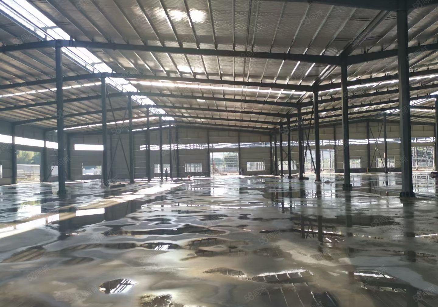 河南岸全新独院钢构厂房3300平滴水7米 空地1000平方