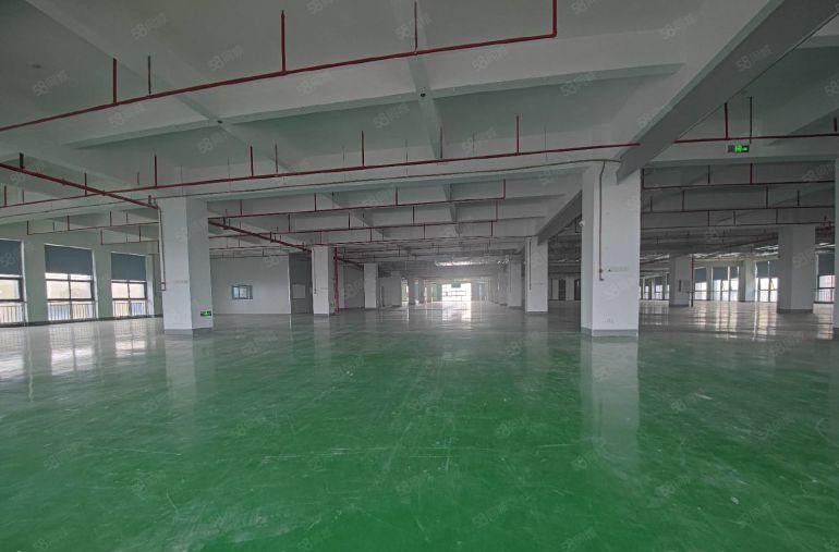 三栋数码园9块带装修单层3600平原房东厂房~300平起分