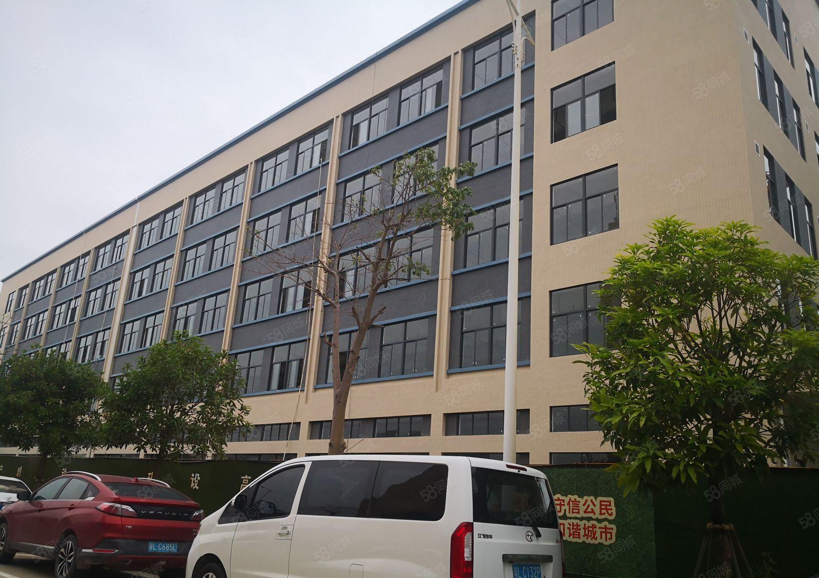 马安镇   全新独院厂房17000平米出租，位置佳！！