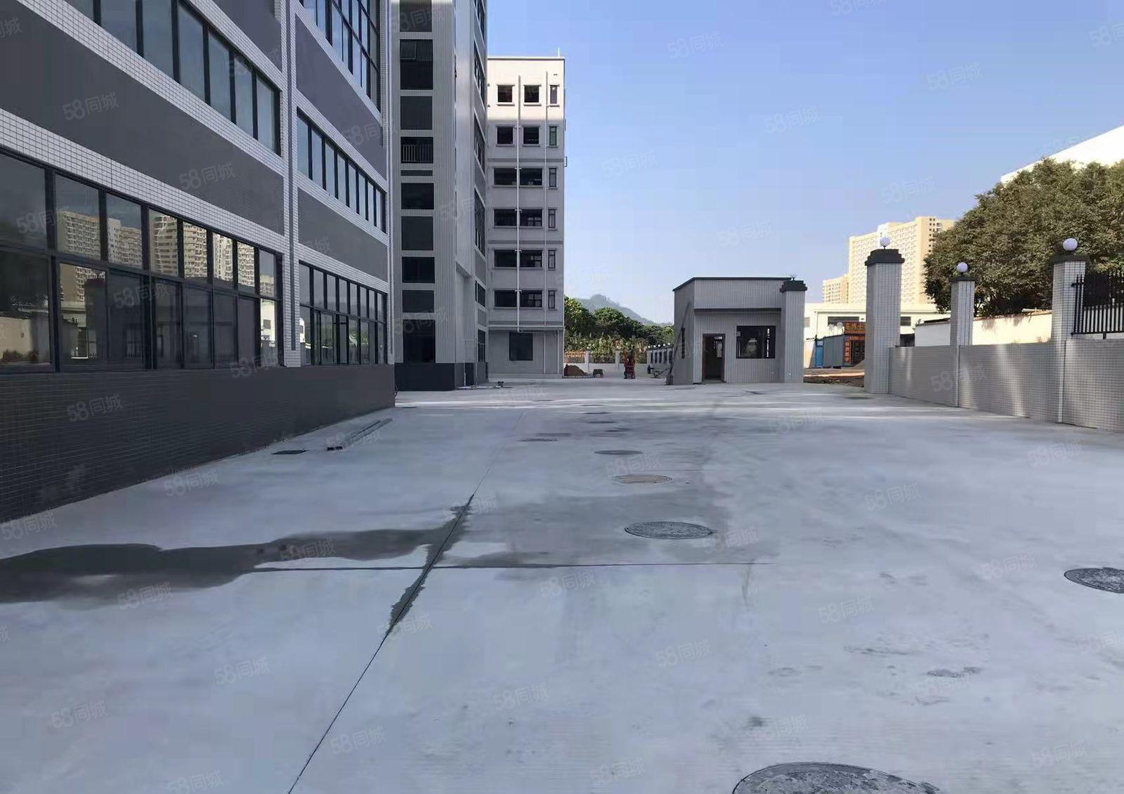 惠城水口新出全新原房东标准厂房 大小可分 可办环评