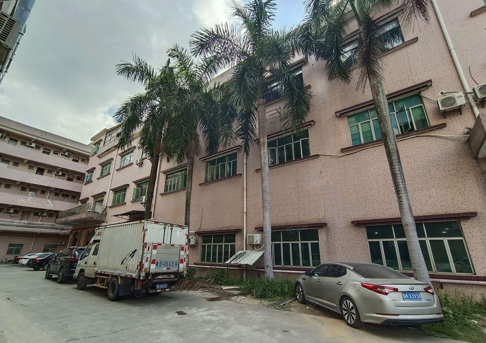 带牛角！水口新出标准一楼500平带装修，现成办公室！交通方便