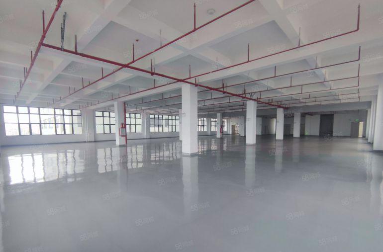 马安厂房出租单层1300平所有楼层全新地坪漆主线到车间价格优