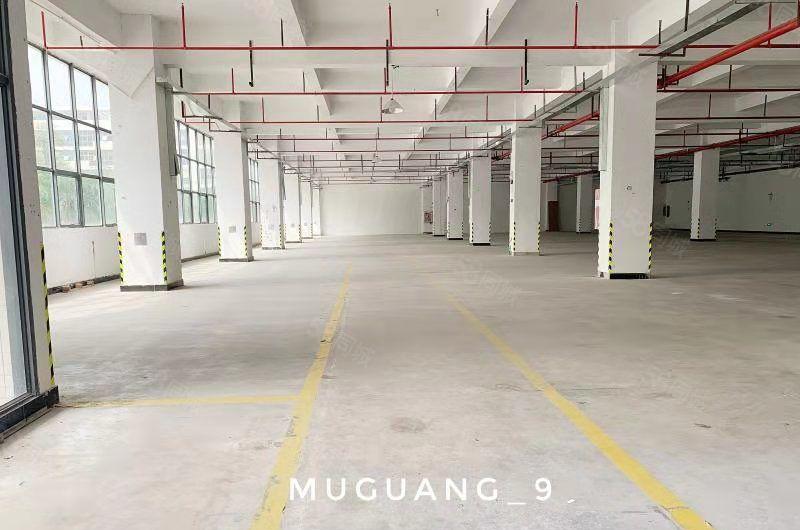 水口东江工业园三楼重工厂房1100平米 承重1吨 层高5米