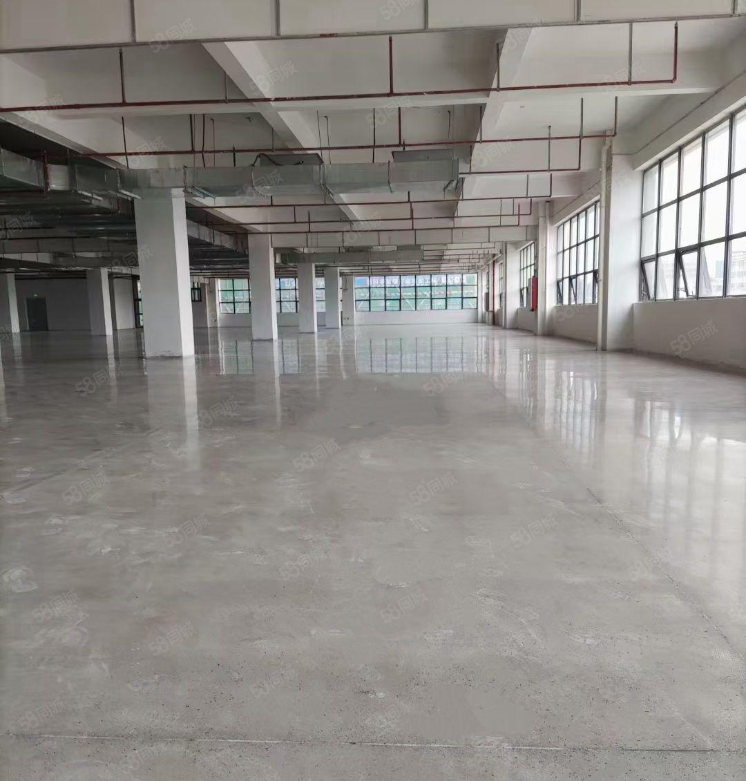 小金口原房东自有单层3300~6600平方全新红本厂房招租