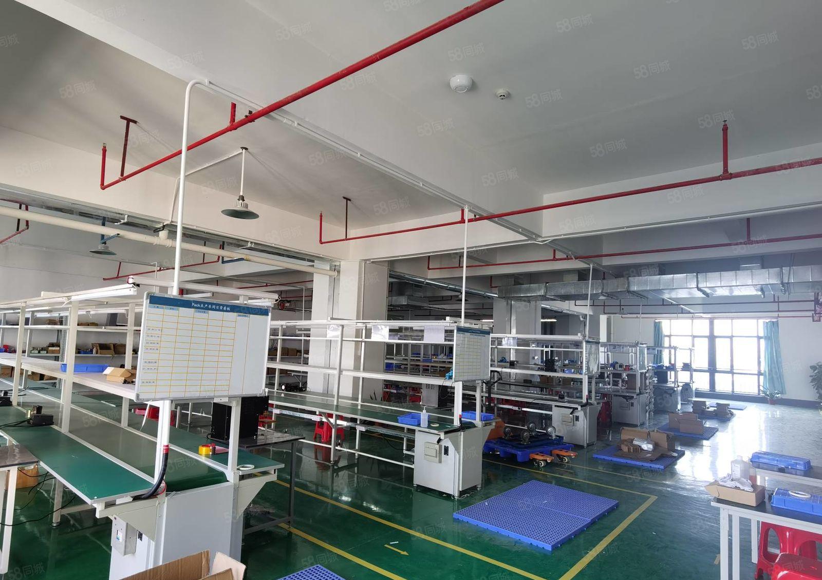 马安豪鹏科技旁工业园楼上一层800平米 全新装修 12元出租