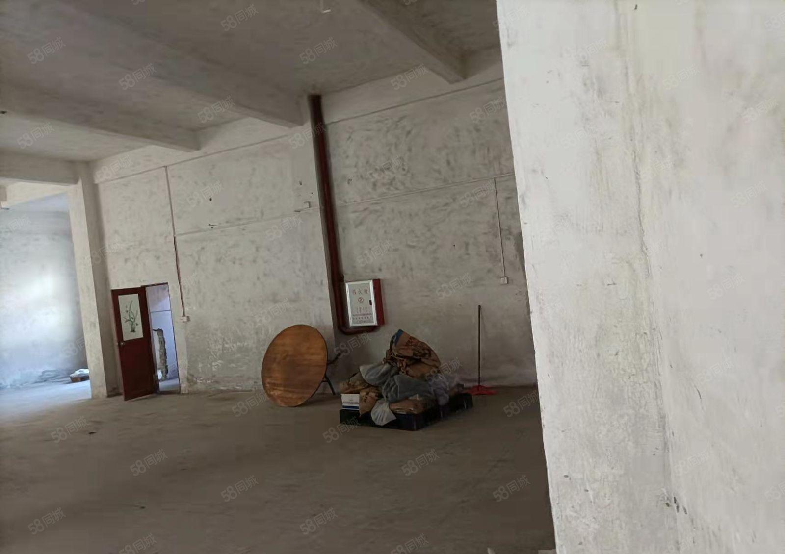 惠城区小金口柏岗厂房招租，交通便利，水电到位，现低价招商