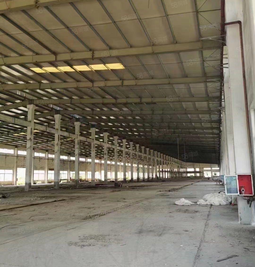 国有红本，带消防喷淋，生产及各行各业，大小可分租，宿舍按需