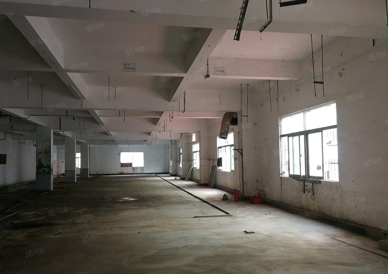 惠城区水口镇原房东红本8000平厂房出租现成证线路板生产线