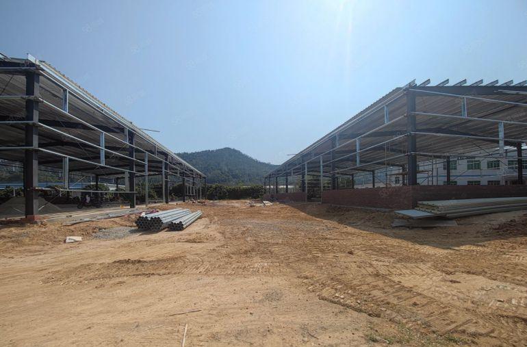 真实推荐独院4000平无公摊~单栋2000平证件齐空地大