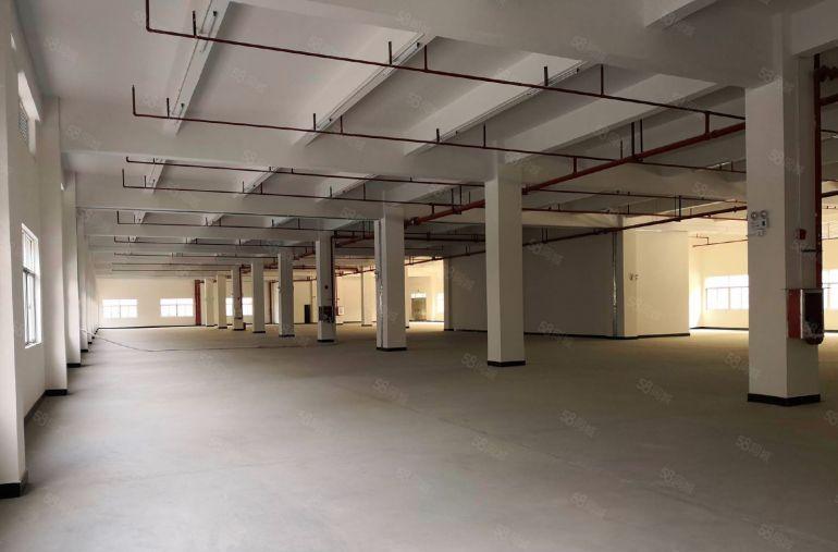 惠惠城区水口原房东独院厂房8000平方出租